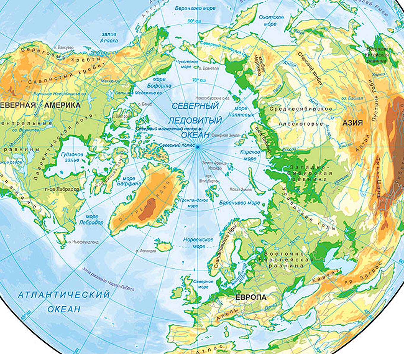 �������� ���������